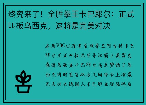终究来了！全胜拳王卡巴耶尔：正式叫板乌西克，这将是完美对决
