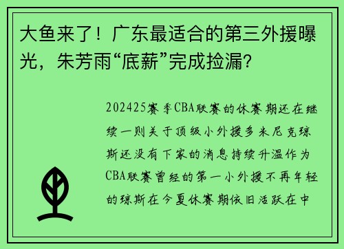 大鱼来了！广东最适合的第三外援曝光，朱芳雨“底薪”完成捡漏？